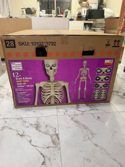12 FT SKELETON