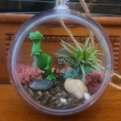 Dinosaur (Rex) Terrarium 