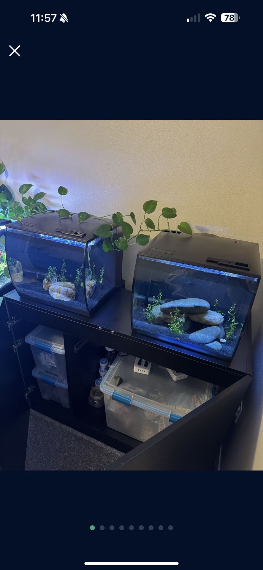 Fluval flex 15 Aquarium fish Tanks $140 FOR BOTH