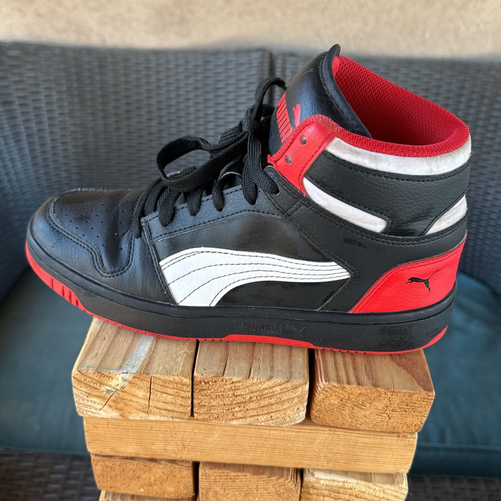 Puma Shoe