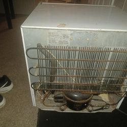 Mini Fridge 