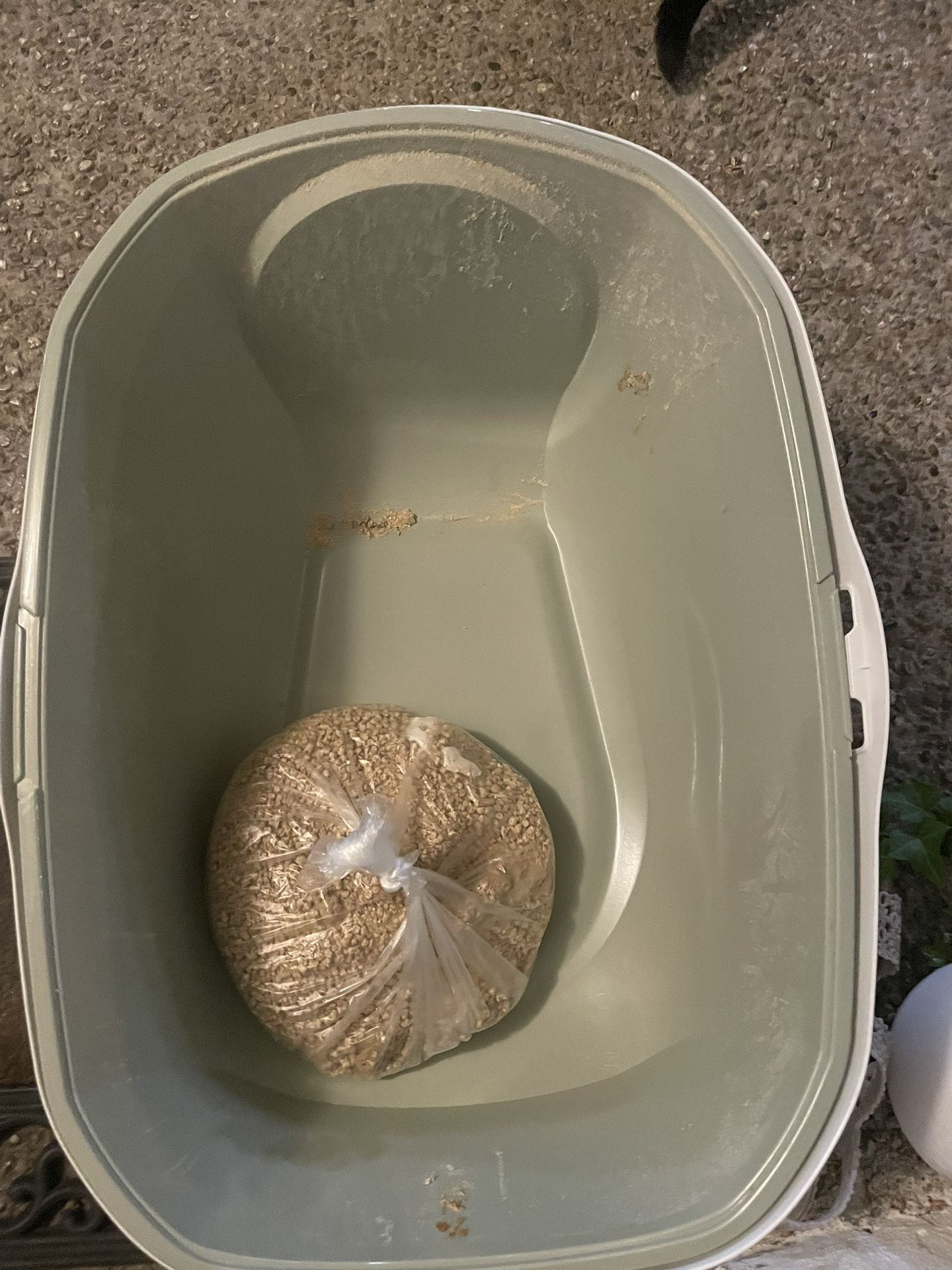 Free Cat Litter Box
