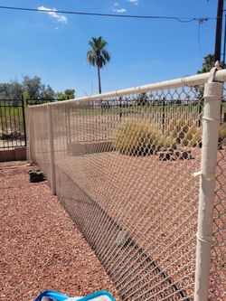 Chain Link fence with posts