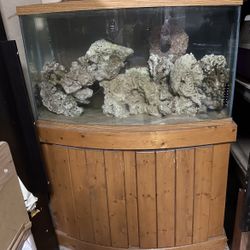 Salt Water Bowfront Aquarium