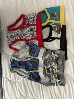 Ninja Turtles size 6 Briefs 5 Pairs