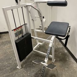 Cybex Lower Back Extension, Commercial Gym Equipment 