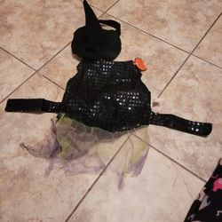 Pet Costume Witch Size Small New With Tag