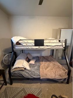 Bunk Beds