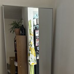 Brushed Silver Mirror 