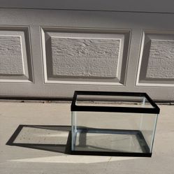 5 Gallon Fish Tank