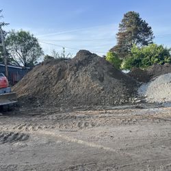 Free-Soil.