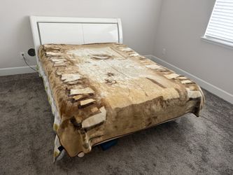 Queen Size Bed with Mattress