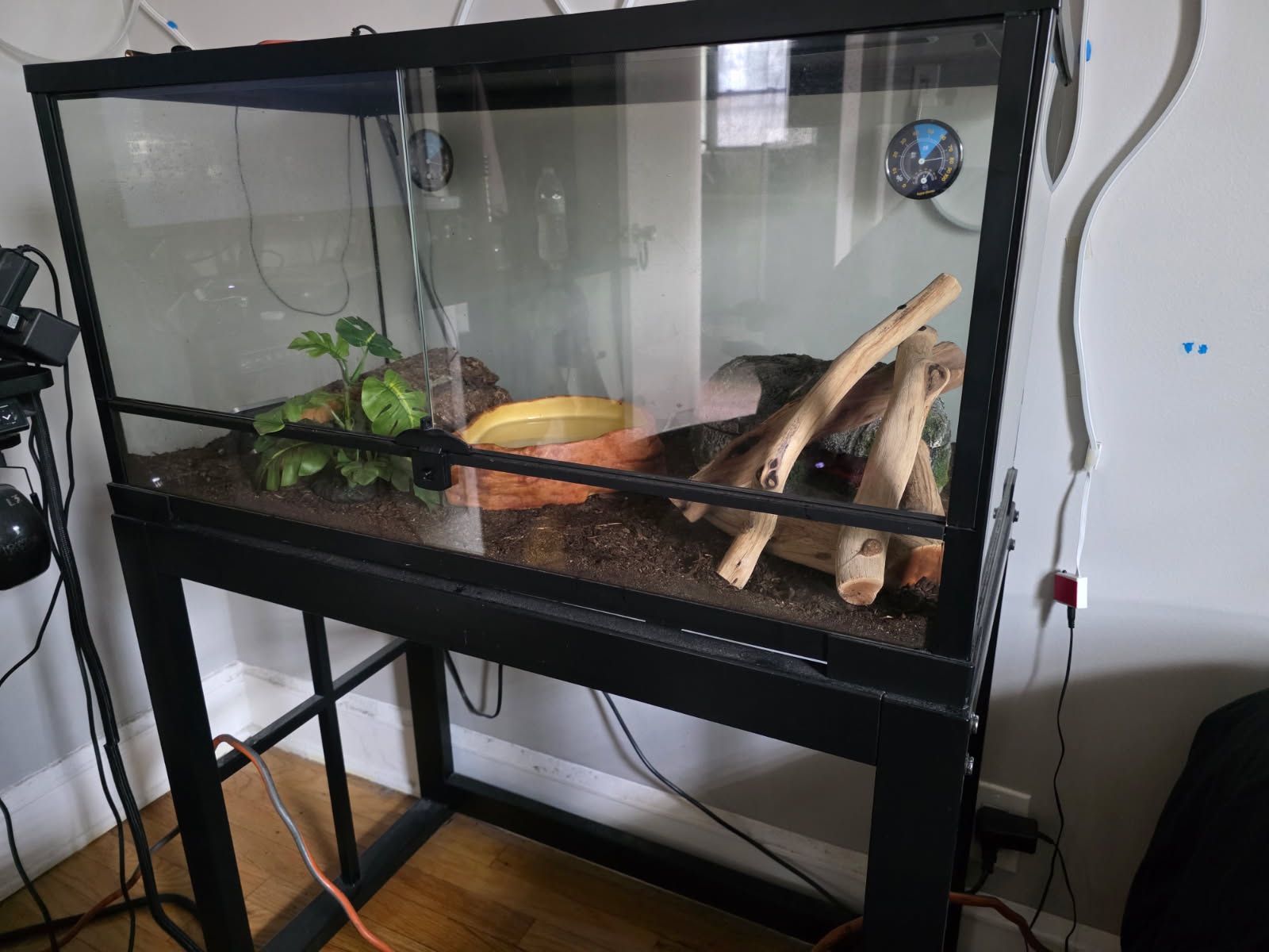 Reptile tank 40 Gallon with stand