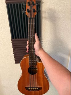 Acoustic Nylon Mini Bass