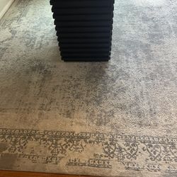 Area Rug