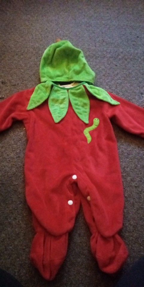 Baby Girl Costume 6-12 Months $8.00