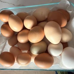 Farm Fresh eggs