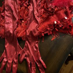 Flapper Girl Costume