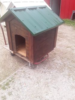 Dog house