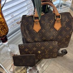 Louis Vuitton Speedy 25 