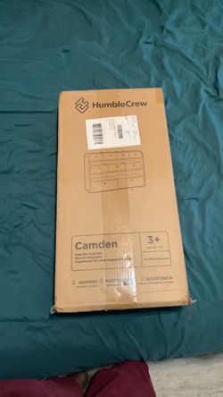 Multi-bin organizer