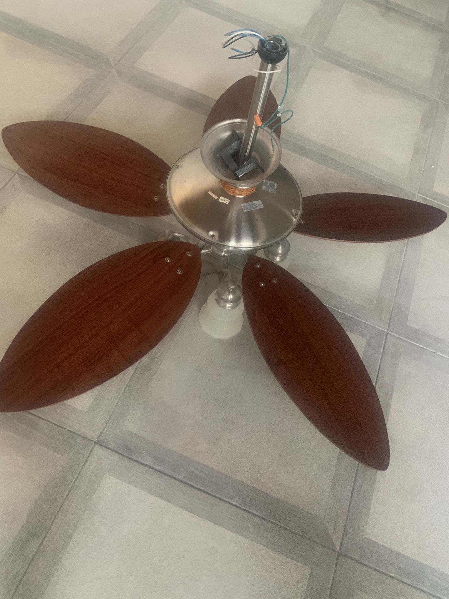 Celiling Fans