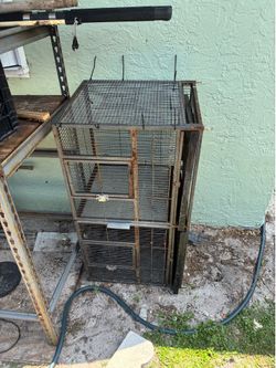 Bird Cage