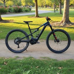 2019 Specialized Turbo Levo E-Bike