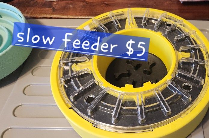 Slow Feeder