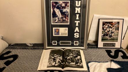 Johnny unitas