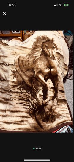 Reversible Queen Size Korean Fleece /Mink Blanket .  Super Soft & Warm.  Great Condition . $35. East Dundee 