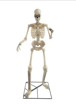 Life-Size Halloween Skeleton Decoration with Stand