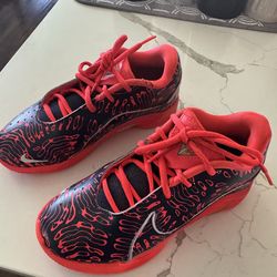 Nike LeBron  XXll boys basketball shoes 1 1/2 Y size