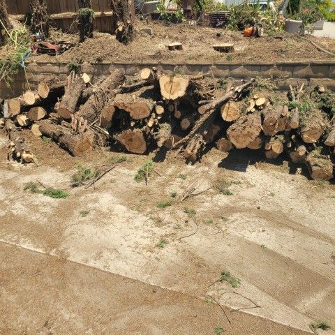 Free Firewood
