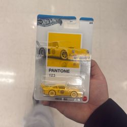 New Pantone Silver Series Porsche Hot wheel
