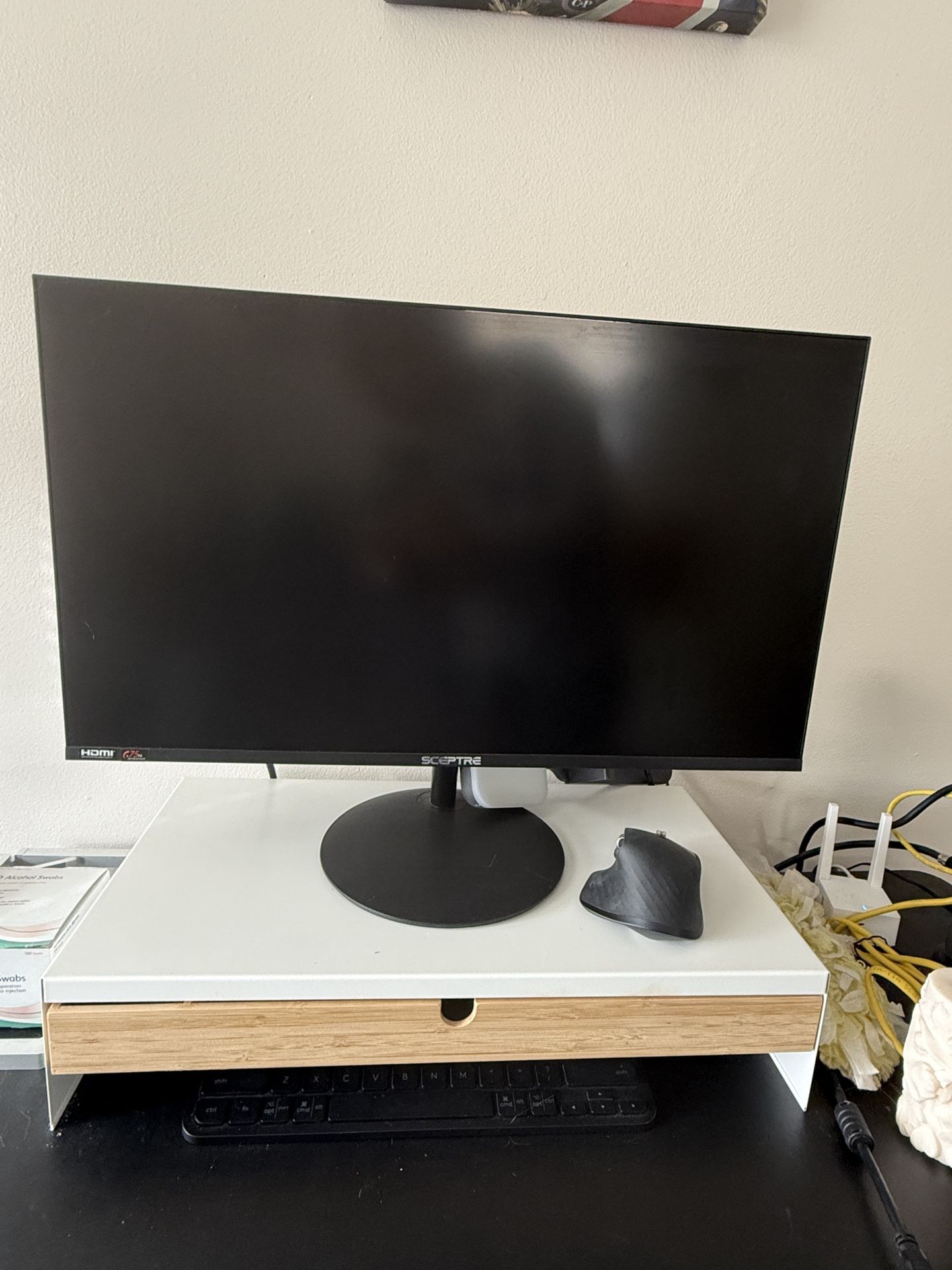 24” sceptre computer monitor