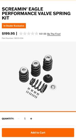 Harley Davidson Screamin' Eagle Performance Valve Springs (HD Part # 18013-03A)