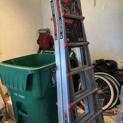 Little Giant Ladder 