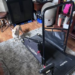 Petsite Dog Treadmill