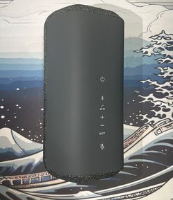 Sony XE300 Portable Bluetooth Speaker