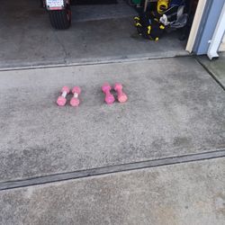 Neoprene  Dumbbells  Pink  2 Sets 