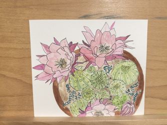 Flowers And Cactus