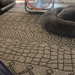 Nice area Rug