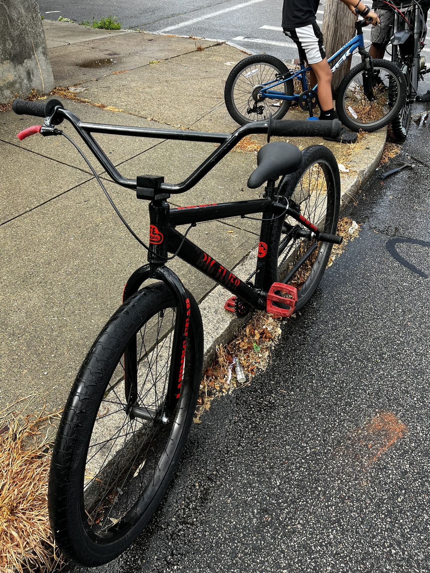 Se Big Flyer 29 Inch 