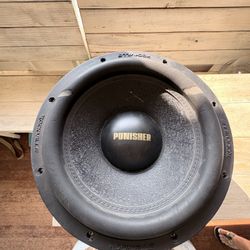12 Inch Subwoofer 