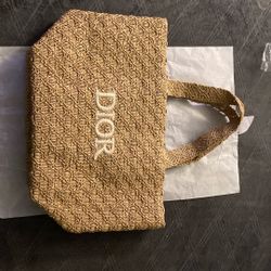 Dior Mini Tote Bag 