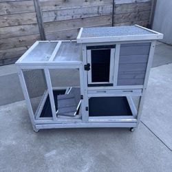 Rabbit Hutch 