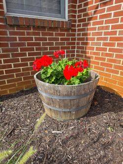 Whiskey barrel