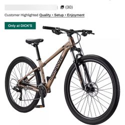 Mountain bike