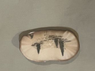 Horn Scrimshaw Brooch